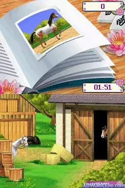 Image n° 3 - screenshots : I Love Horses